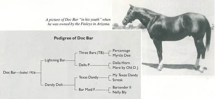 Doc Bar - The Horse Who Changed An Entire Breed